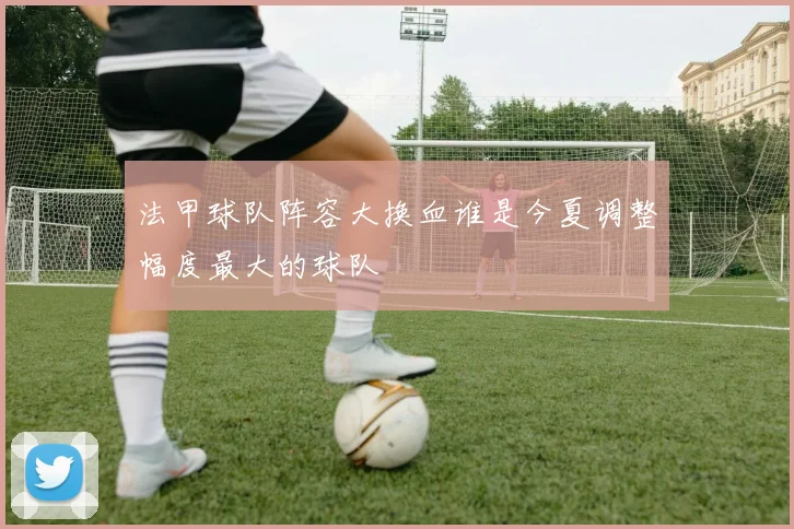 法甲球队阵容大换血谁是今夏调整幅度最大的球队