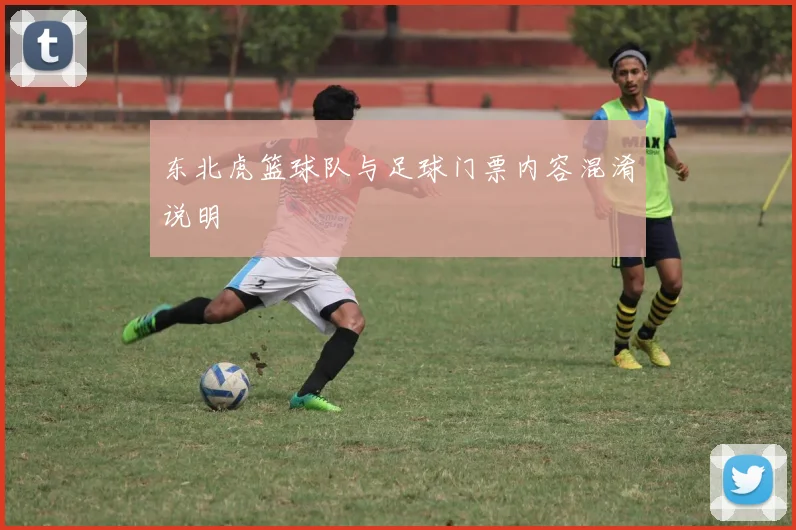 东北虎篮球队与足球门票内容混淆说明