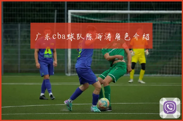 广东cba球队陈海涛角色介绍