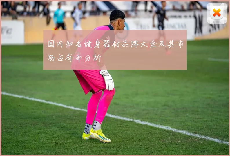 国内知名健身器材品牌大全及其市场占有率分析