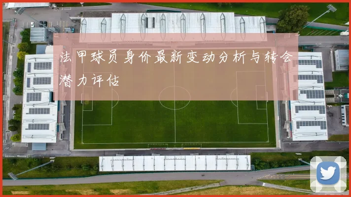 法甲球员身价最新变动分析与转会潜力评估