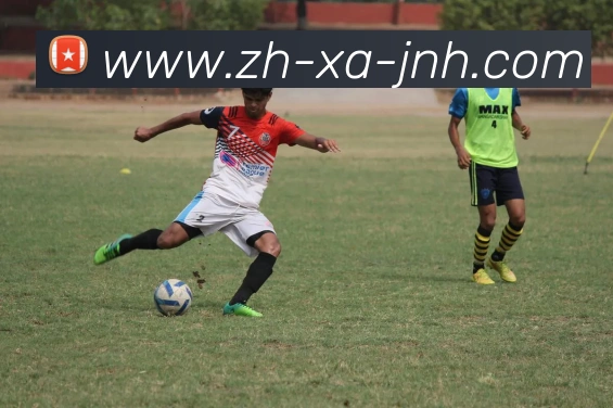 金年会体育服务体系