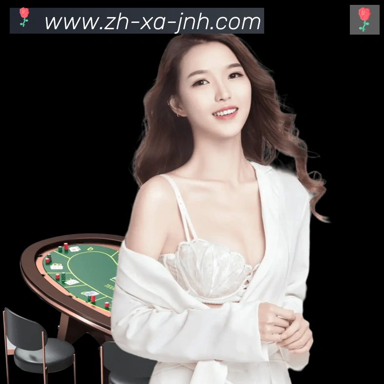 数据防护可视化